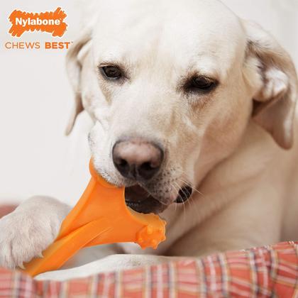 Imagem de Toy Chew Toy Nylabone Power Chew Axis Bone para cães GG