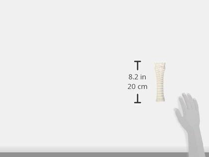 Imagem de Toy Chew Toy Nylabone Power Chew Textured Souper Bone para cães