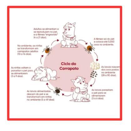 Imagem de Tratamento Prolongado Pulgas, Carrapatos e Sarna  Cães até 3kg Filhotes  24 Comp