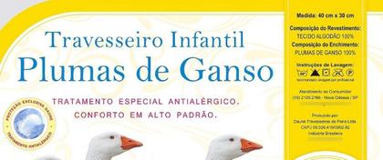 Imagem de Travesseiro Infantil 100% Pluma De Ganso- Daune 40x30cm