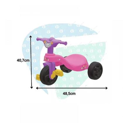 Imagem de Triciclo Encantado Rosa Pais & Filhos