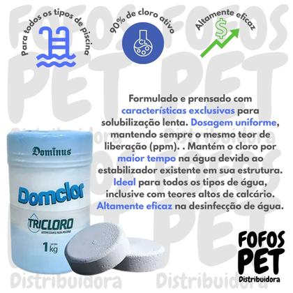 Imagem de Tricloro Domclor Consumo Humano Embalagem com 5 Pastilhas de 200g