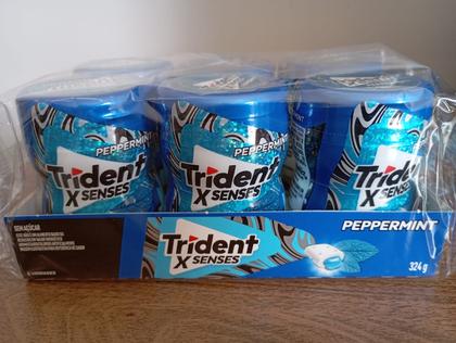 Trident XSenses Hortelã Sem Açúcar Garrafa 6 unidades de 54g Imagem de Trident XSenses Hortelã Sem Açúcar Garrafa 6 unidades de 54g