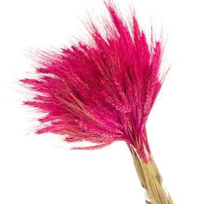 Imagem de Trigo Pink Desidratado p/ Decoração
