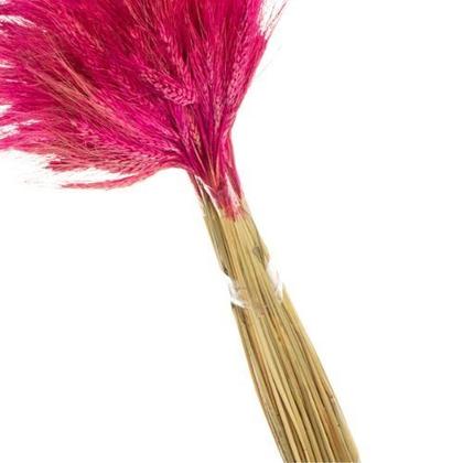 Imagem de Trigo Pink Desidratado p/ Decoração
