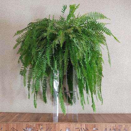 Imagem de Trio Mesa Acrílico Transparente Cilindro Tripe Coluna Elevação