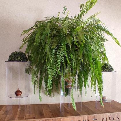 Imagem de Trio Mesa Acrílico Transparente Cilindro Tripe Coluna Elevação