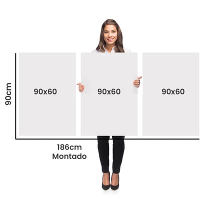 Imagem de Trio Quadros com Moldura e Acrilico Cristal Vidro  Penas Dourada Kit 3 Quadros para Sala, Quarto ou Escritório