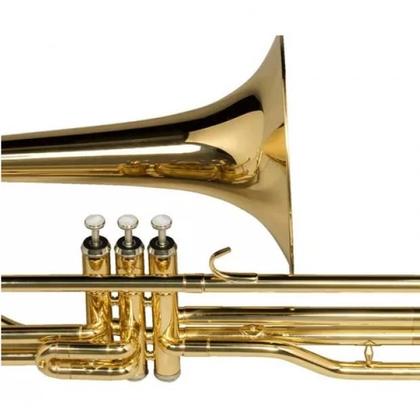 Imagem de Trombone de pisto wtpm35n - michael