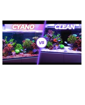 Imagem de Tropic Marin Cyo Control 500ml Bact Propiótica Cianobacteria