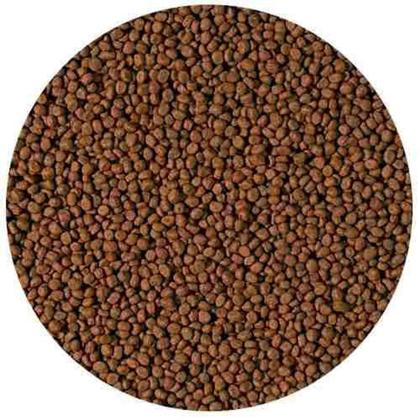 Imagem de Tropical cichlid carnivore small pellet 90g - ( tropical ciclideos carnivoros )