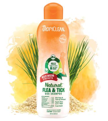 Imagem de TropiClean Natural Flea & Tick Shampoo de Força Máxima para Cães, 20oz - Mata Pulgas, Carrapatos, Larvas, Ovos por Contato - Tratamento Sem Sabão para Prevenção de Pragas - Feito com Óleos Essenciais - Made in USA