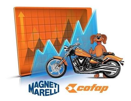 Imagem de Tubo Interno Bengala Yamaha Xtz 125 2003 2004 2005 2006 2007 2008 a 2012 Original Cofap