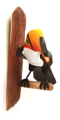 Imagem de TUCANO NA CASCA Enfeite de Parede de Resina
