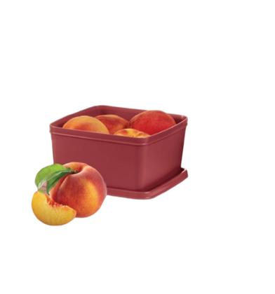 Imagem de Tupperware Basic Line 2,5 litros