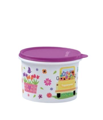 Imagem de Tupperware Caixa 1,1L
