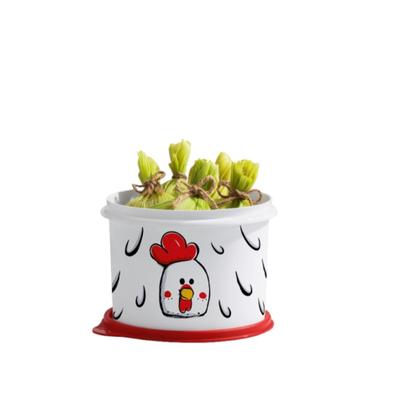 Imagem de Tupperware Caixa 2,4 litros