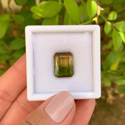 Imagem de Turmalina Bicolor Amarelada Baguete Retangular 11,44ct