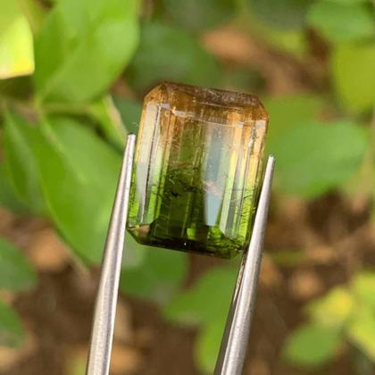 Imagem de Turmalina Bicolor Amarelada Baguete Retangular 11,44ct