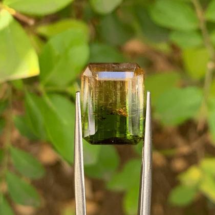 Imagem de Turmalina Bicolor Amarelada Baguete Retangular 11,44ct