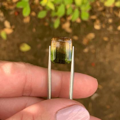 Imagem de Turmalina Bicolor Amarelada Baguete Retangular 11,44ct