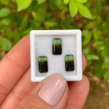 Imagem de Turmalina Bicolor Baguete Retangular SET 5,19ct
