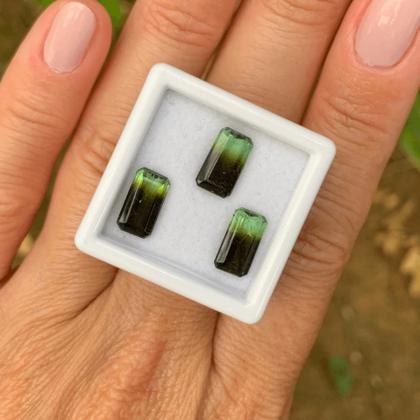 Imagem de Turmalina Bicolor Baguete Retangular SET 5,19ct