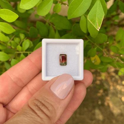 Imagem de Turmalina Bicolor Melância Baguete Retangular 1,23ct