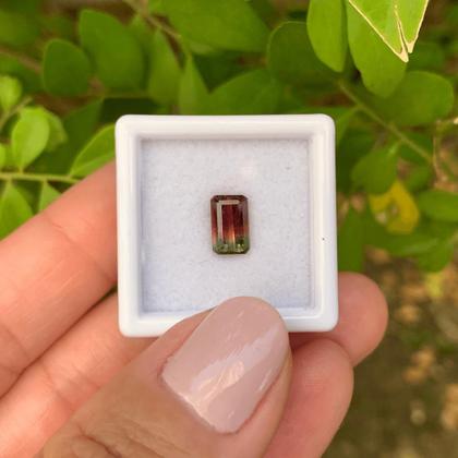 Imagem de Turmalina Bicolor Melância Baguete Retangular 1,23ct
