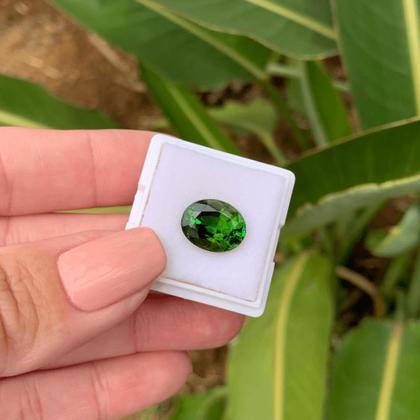 Imagem de Turmalina Verde Oval 5,26ct