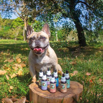 Imagem de Uniflowers Floral De Bach Pet Gotas Audácia 9Ml - 30Ml