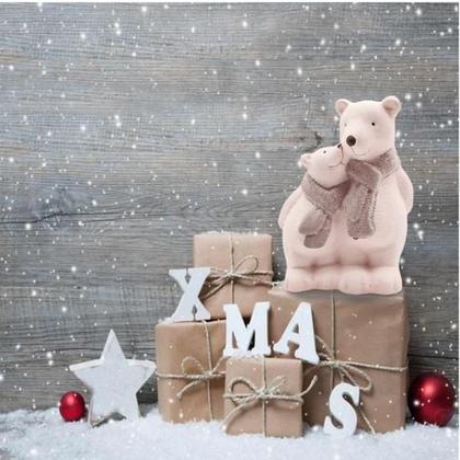 Urso Polar Branco Casal Romântico Cerâmica 18 cm Enfeite Decorativo Natal - Wincy Natal Imagem de Urso Polar Branco Casal Romântico Cerâmica 18 cm Enfeite Decorativo Natal