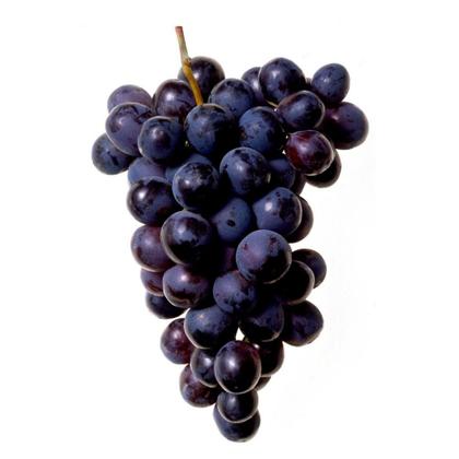 Imagem de Uva Franceza Preta Enxertada