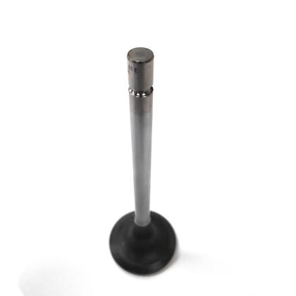 Imagem de Valvula admissao mbb actros/atron/ euro 5 60 graus eaton nac