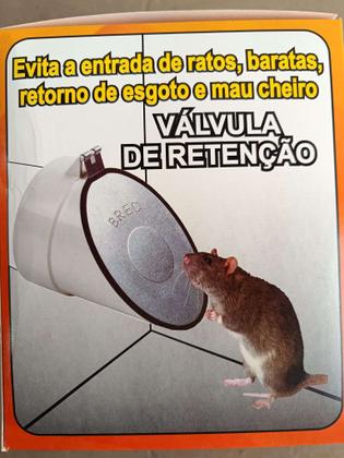 Imagem de Válvula de Retenção com Tampa de Aço para Tubo 100mm Ponteira Brec