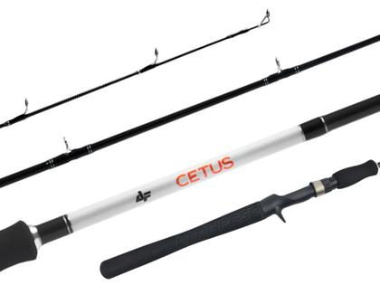 Imagem de Vara Para Carretilha Albatroz Cetus New 6'0" (1,83m) 6-10lbs CTS-C601L - Inteiriça