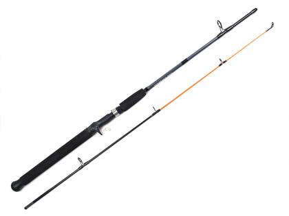Imagem de Vara Para Carretilha Albatroz Tabarana 9'0" (2,70m) 10-30Lbs 2702 - 2 Partes