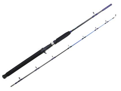 Imagem de Vara Para Carretilha Albatroz Tambaqui 5'6" (1,65m) 20-35Lbs 1652 - 2 Partes