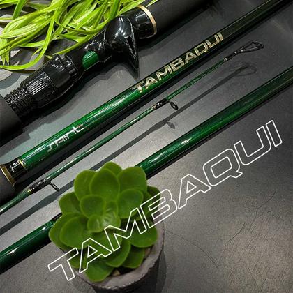 Imagem de Vara Saint Tambaqui 2101-BC 2,10m 7'0'' 30-60lb 1 Parte Carretilha Carbono IM6