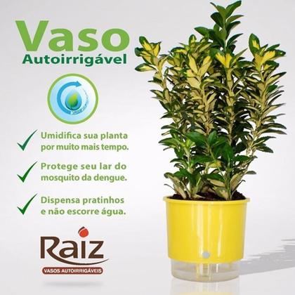 Imagem de Vaso Auto Irrigável 21x18 Verde Esc Raiz Antidengue Kit 3 Un