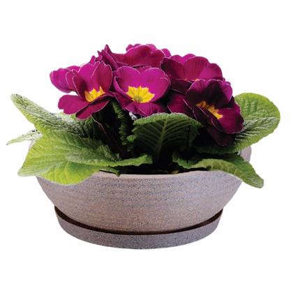 Imagem de Vaso Bacia De Polietileno Concha Riscado Cachepot Planta Suculentas com Prato - N.9 - Diam. 250 X 90 mm