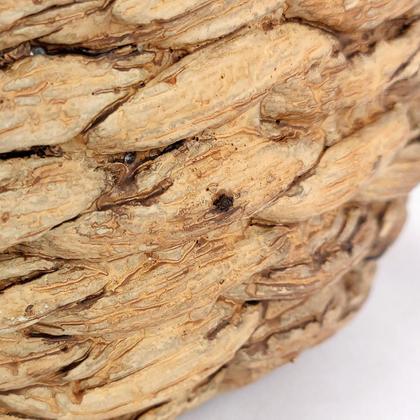 Imagem de Vaso Bege Corda De Cimento 19X21Cm Cachepot Decoração