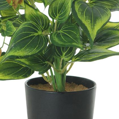 Imagem de Vaso Com Flor Artificial Verde 22 cm F04 - D'Rossi