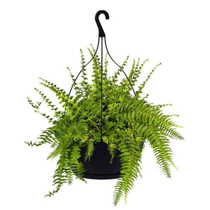 Imagem de Vaso Cuia com Gancho N28 Preto Uninjet