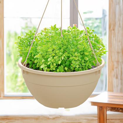 Imagem de Vaso Cuia Suspenso 7,5L Fosco com Gancho Plástico para Pendurar Plantas Jardim Varanda Interior