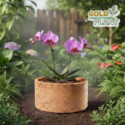 Imagem de Vaso de Fibra de Coco ecologico tipo xaxim N5 - 29cm Gold Plant