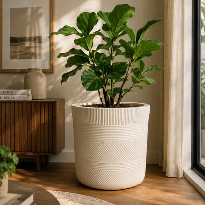 Imagem de Vaso de Plantas Branco Texturizado Moderno para Decoração - Castela