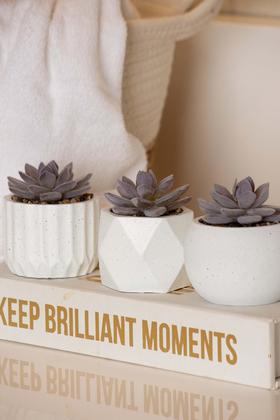 Imagem de Vaso de Suculenta Artificial Decorativo Cimento 7,5X11,3CM 2268 PARAMOUNT