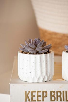 Imagem de Vaso de Suculenta Artificial Decorativo Cimento 7,5X11,3CM 2268 PARAMOUNT