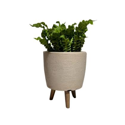 Imagem de Vaso Decorativo 20cm Com Tripé De Madeira Para Plantas E Flores